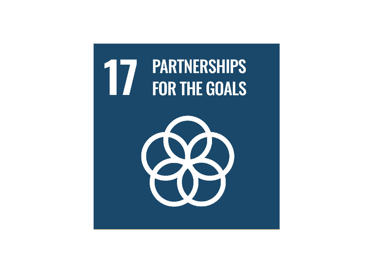 SDG 17 : Partenariats pour la réalisation des objectifs
